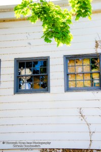 Diary of a Wimpy Kid