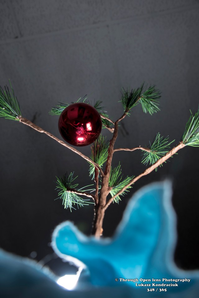 Charlie Brown christmas tree